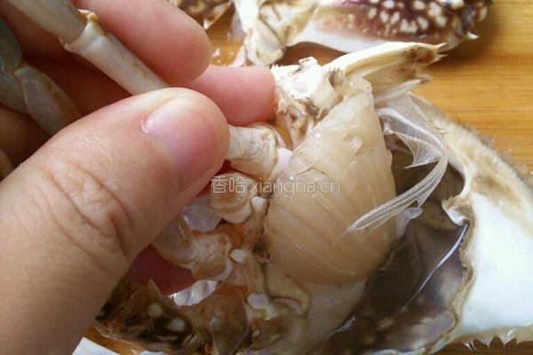 清蒸螃蟹的做法图解3