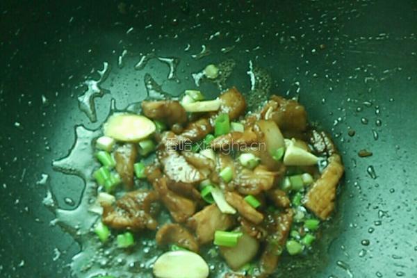 平菇炒肉片的做法图解6