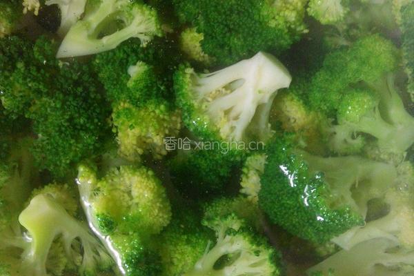 西兰花炒虾仁的做法图解5