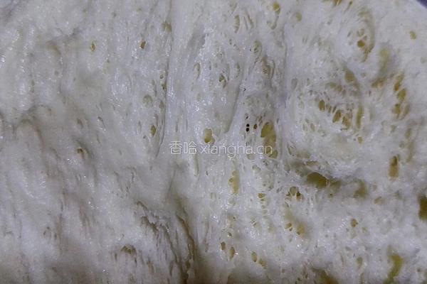（肉夹馍）馍的制作的做法图解2