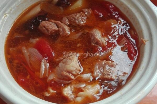土豆西红柿炖牛腩的做法图解8