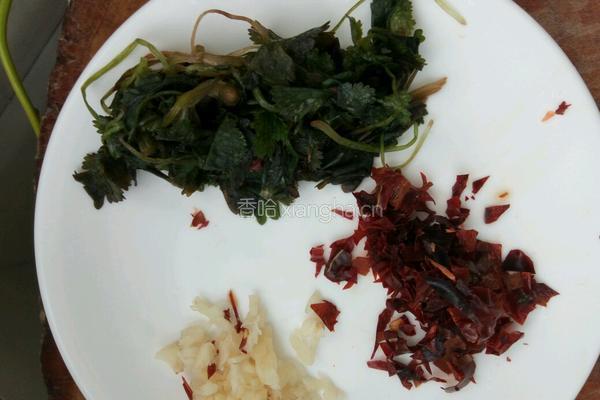 狗肉汤炖豆腐的做法图解1