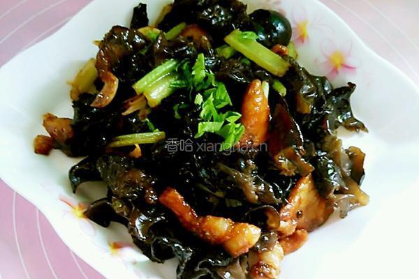 木耳炒肉片