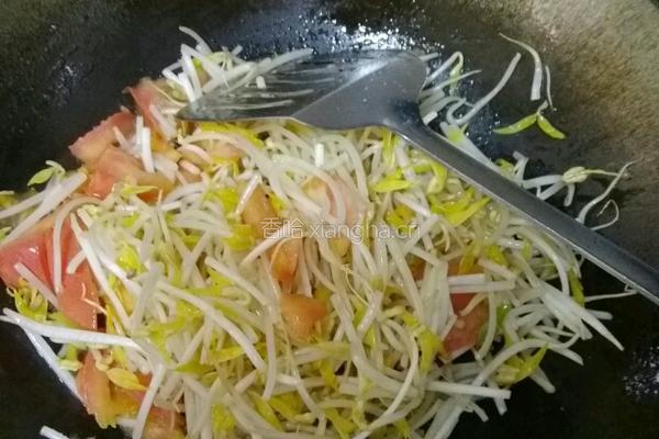 西红柿豆芽烩饼的做法图解4