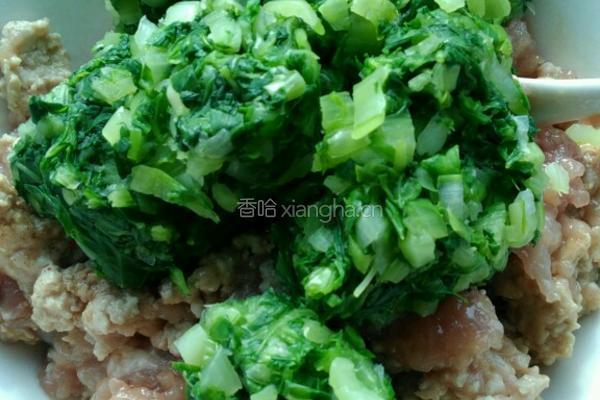 东北大馅水饺的做法图解8