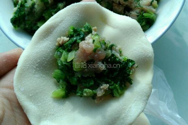东北大馅水饺的做法图解9
