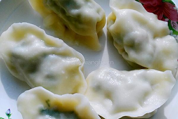 东北大馅水饺的做法图解12
