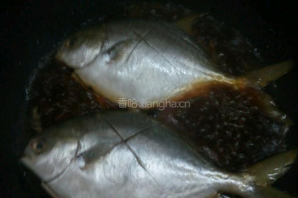 金昌鱼酱油水的做法图解3