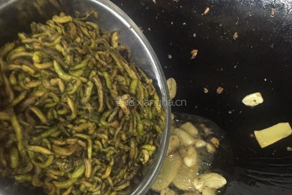 姜葱炒禾虫的做法图解5