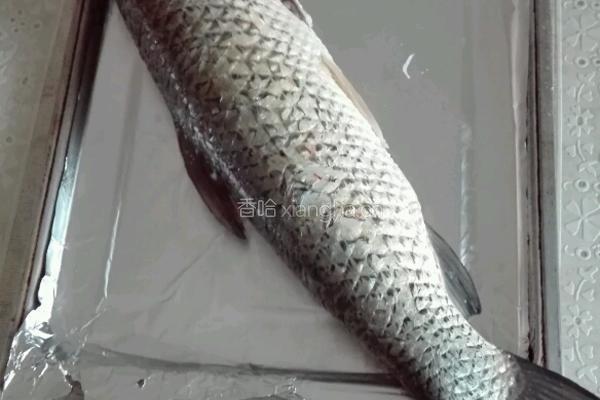 家常烤鱼的做法图解1