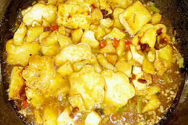 李锦记黄豆酱焖豆腐的做法图解15