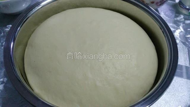 发酵好的面团