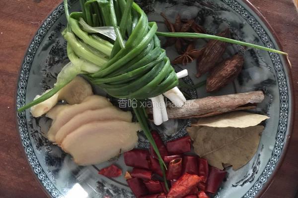 极品东坡肉的做法图解2
