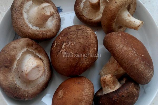 香菇青菜。的做法图解2