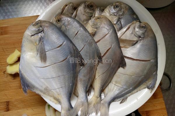 醋烹海鲳鱼的做法图解1