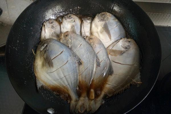 醋烹海鲳鱼的做法图解5