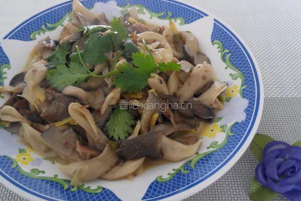 平菇炒肉的做法图解11