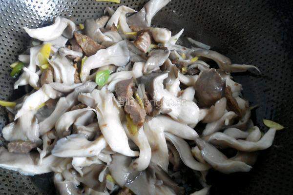 平菇炒肉的做法图解8