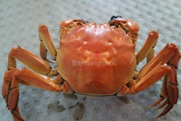 水煮本土蟹的做法图解2