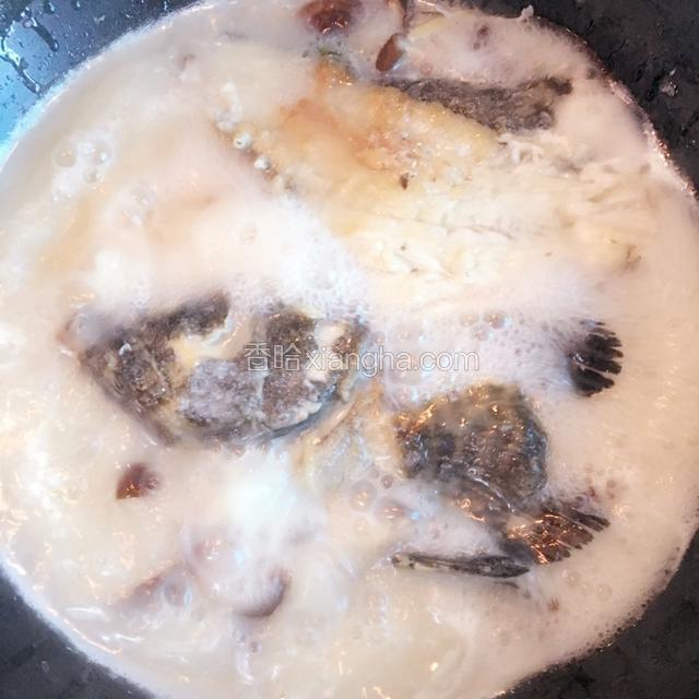 在煎好的鱼锅里直接加入适量开水、香菇、姜丝。大火煮沸。按锅内汤水多少控制时间。(中途勿添水)