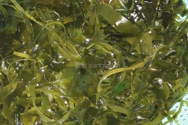 拌海带丝的做法图解2