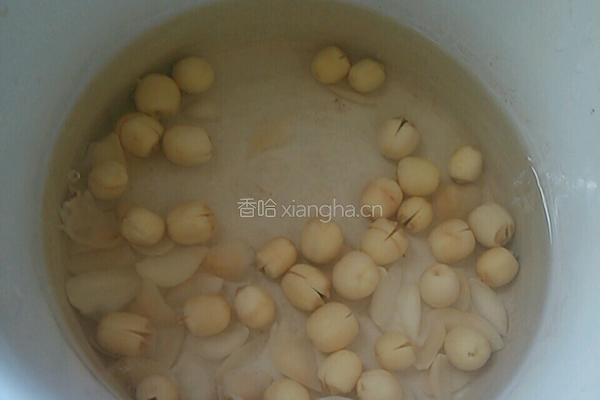 百合莲子汤的做法图解4