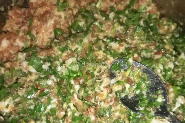 芹菜和韭菜饺子的做法图解6