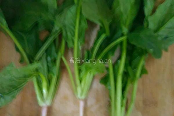 烩麻食的做法图解2