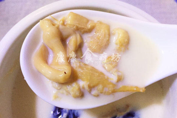 红枣牛奶炖花胶的做法图解7