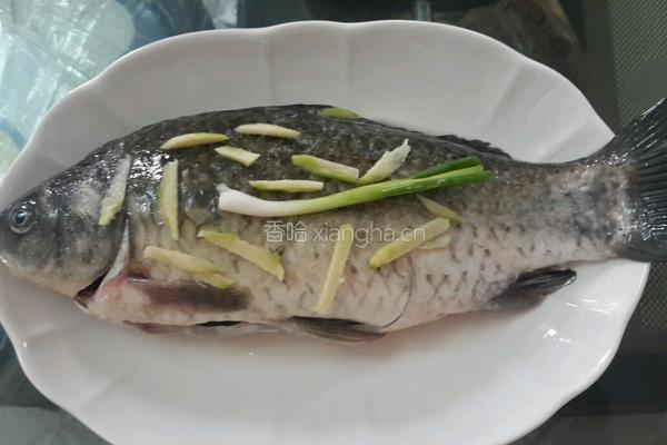 清蒸白鲫鱼的做法图解2