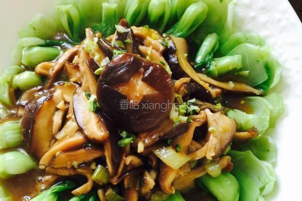 香菇油菜