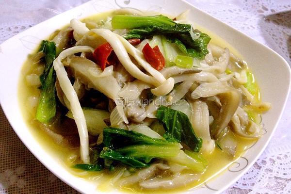 炒双菇的做法图解8