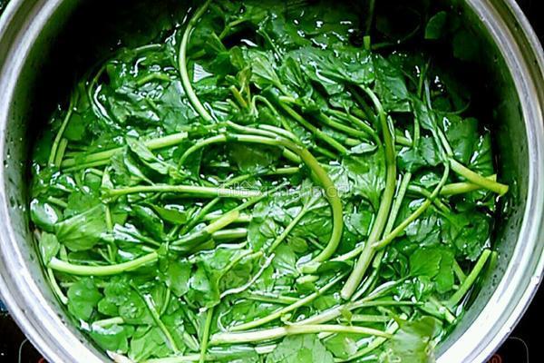 西洋菜金针菇蛋花汤的做法图解5
