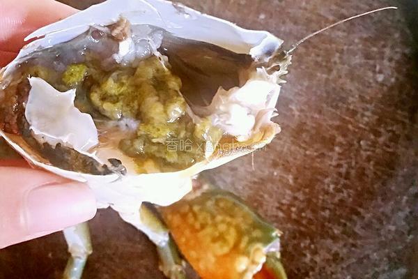 蛤蒌根炒河蟹的做法图解4
