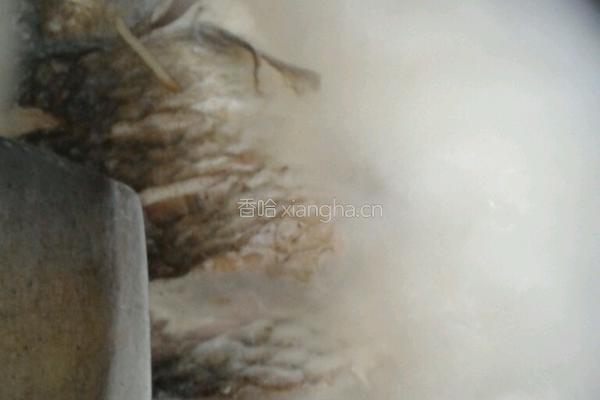 鲫鱼萝卜汤的做法图解9