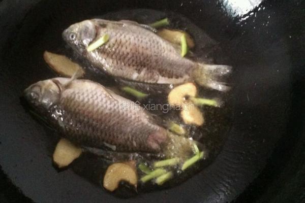 鲫鱼豆腐的做法图解4