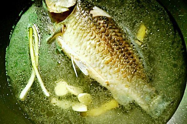 鲫鱼豆腐汤的做法图解6