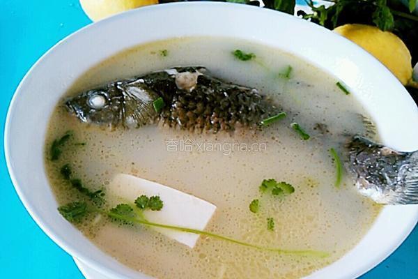 鲫鱼豆腐汤的做法图解10