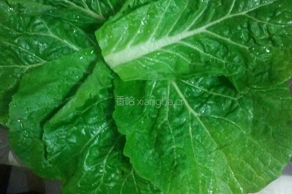 饭包的做法图解5