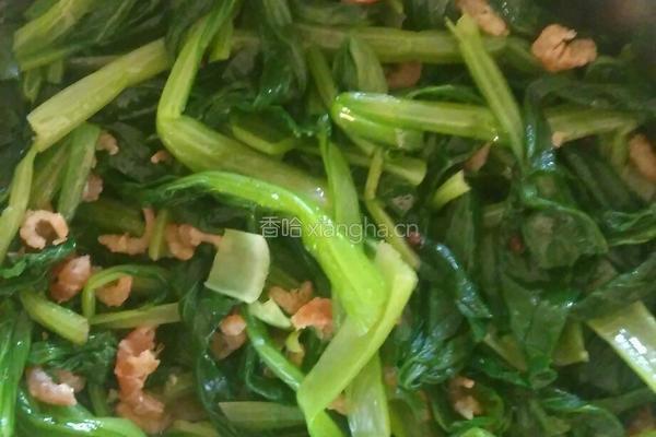 小油菜拌虾仁的做法图解3
