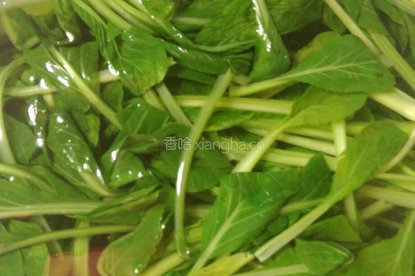 小油菜拌虾仁的做法图解1