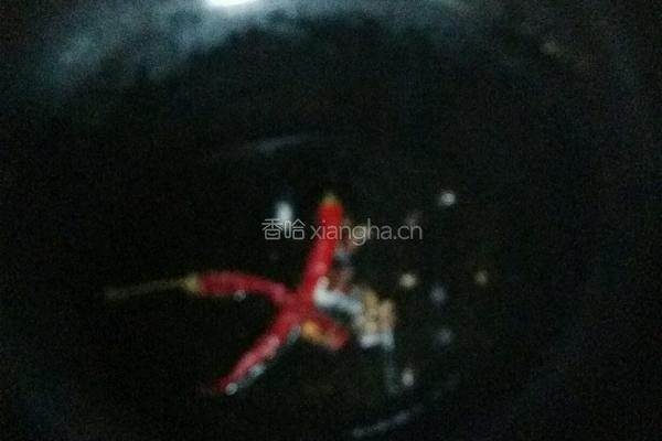 红烧鸡肉的做法图解5