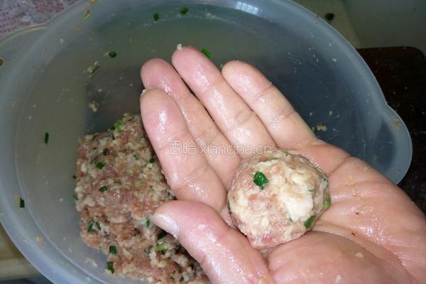 粉丝肉圆的做法图解6