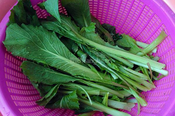 蒜香小白菜的做法图解3