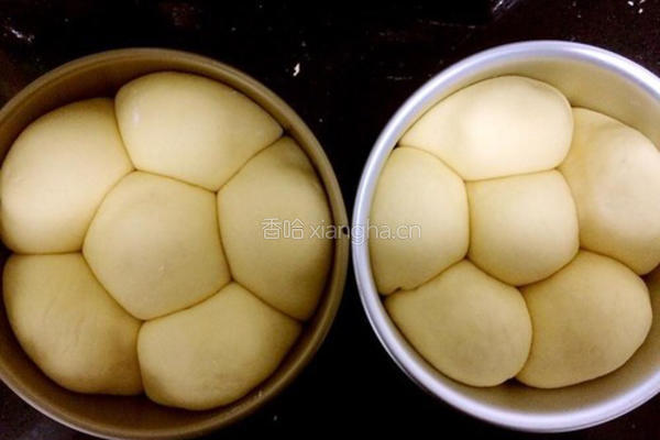 柔软椰蓉包的做法图解15