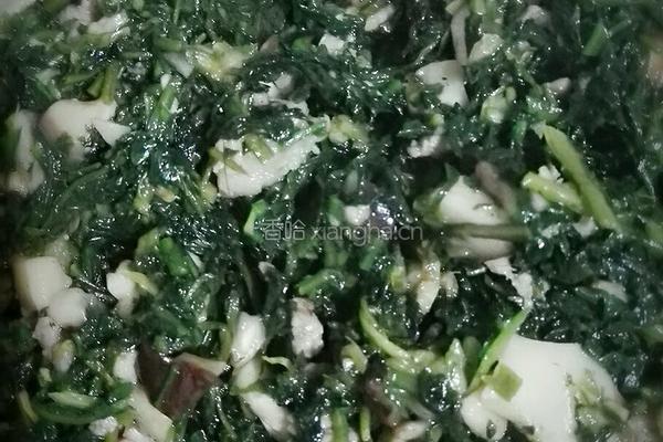 香菇荠菜猪肉饺的做法图解4