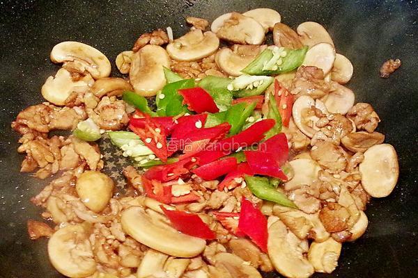 肉片双椒烧口蘑的做法图解5
