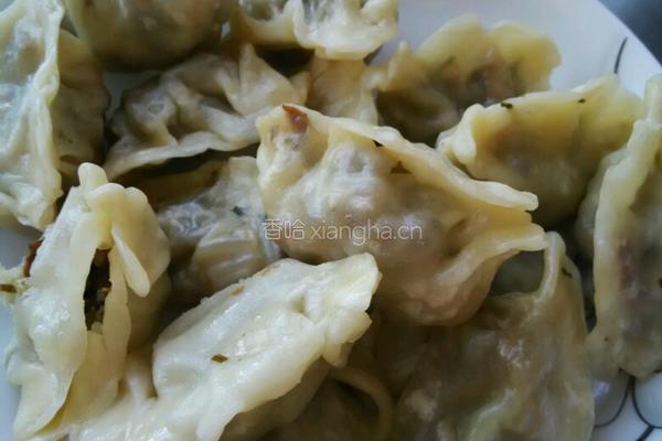 马蹄叶香菇粉丝油渣饺子