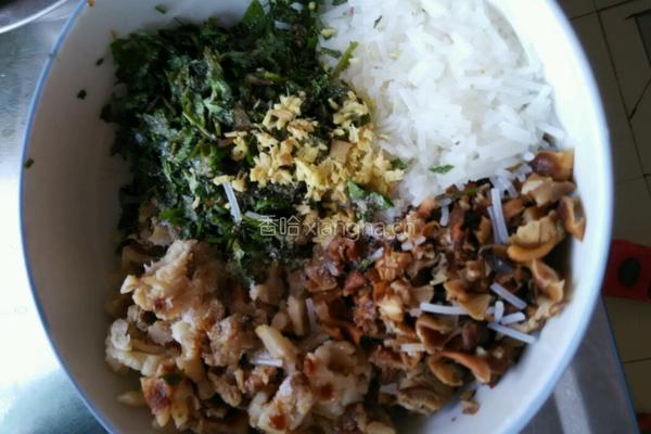 马蹄叶香菇粉丝油渣饺子的做法图解4
