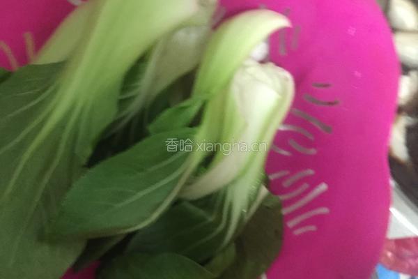 香菇四季青的做法图解1
